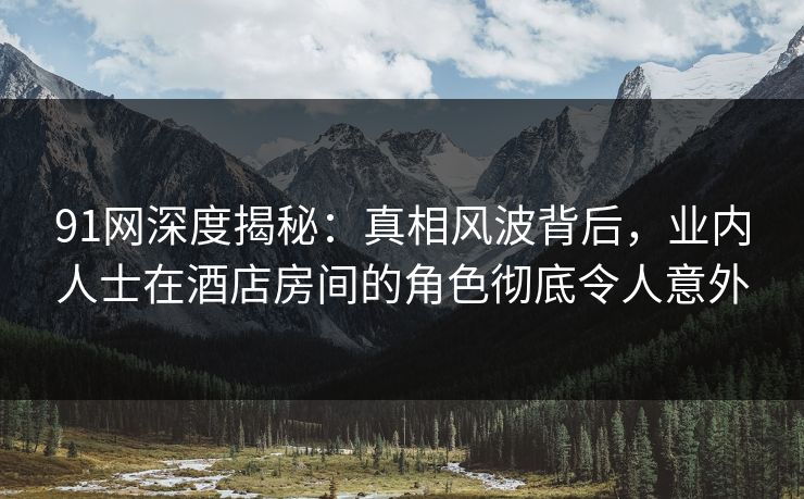 91网深度揭秘：真相风波背后，业内人士在酒店房间的角色彻底令人意外