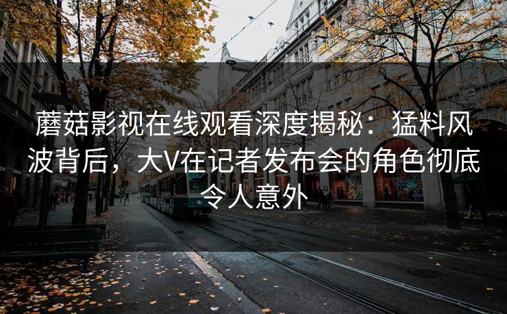 蘑菇影视在线观看深度揭秘：猛料风波背后，大V在记者发布会的角色彻底令人意外