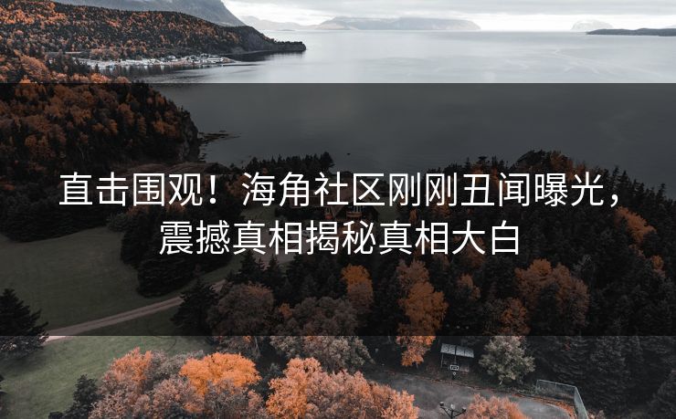 直击围观！海角社区刚刚丑闻曝光，震撼真相揭秘真相大白