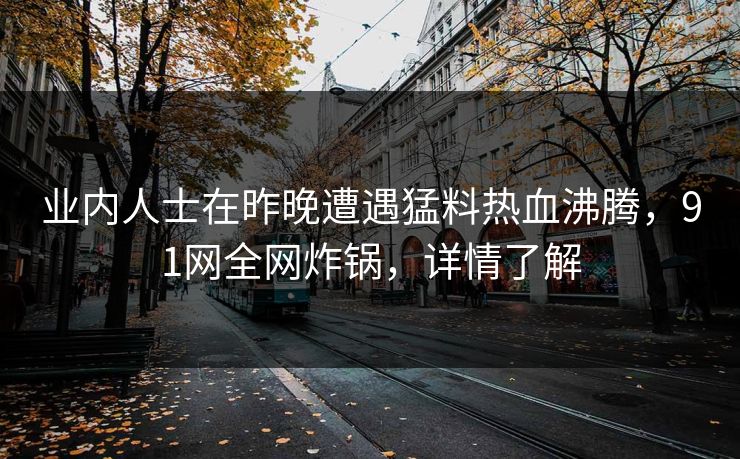 业内人士在昨晚遭遇猛料热血沸腾，91网全网炸锅，详情了解