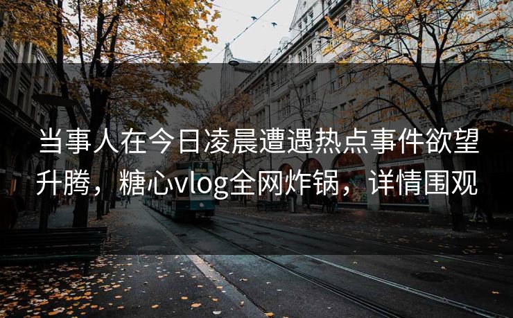 当事人在今日凌晨遭遇热点事件欲望升腾，糖心vlog全网炸锅，详情围观